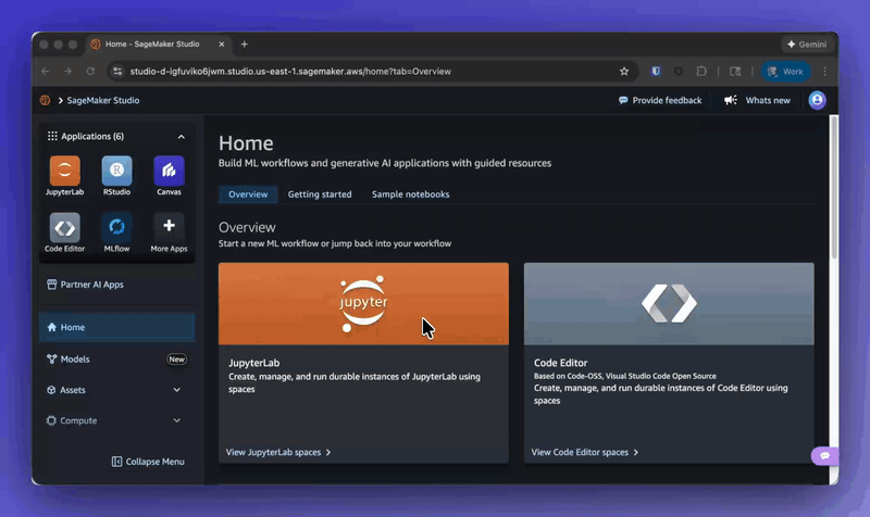  Posit and Amazon Sagemaker