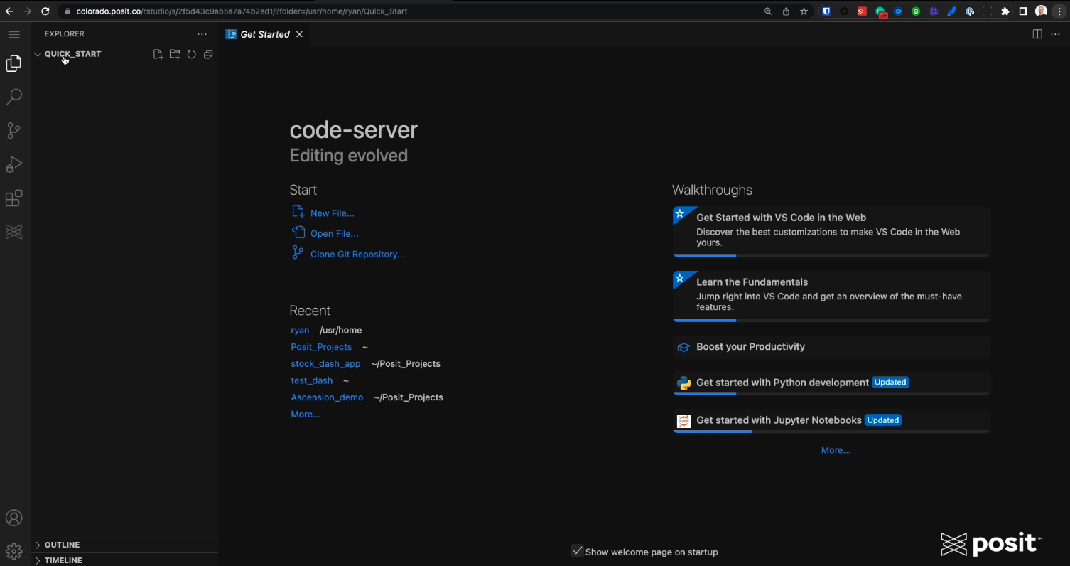 Project on VS Code in Posit Workbench
