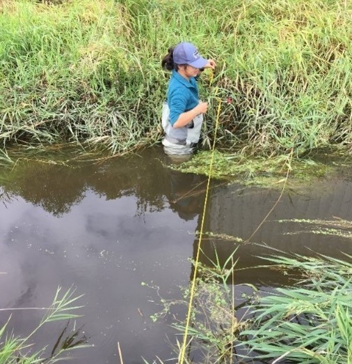 Jadey Ryan in waders measuring streamflow in an agricultural ditch.