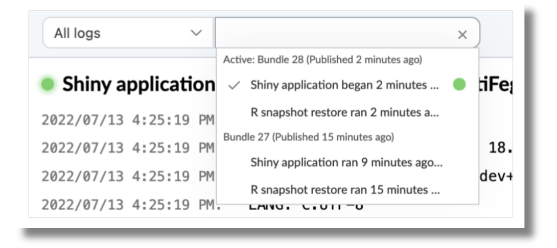 Logs from the Shiny app with one of the log items checked off