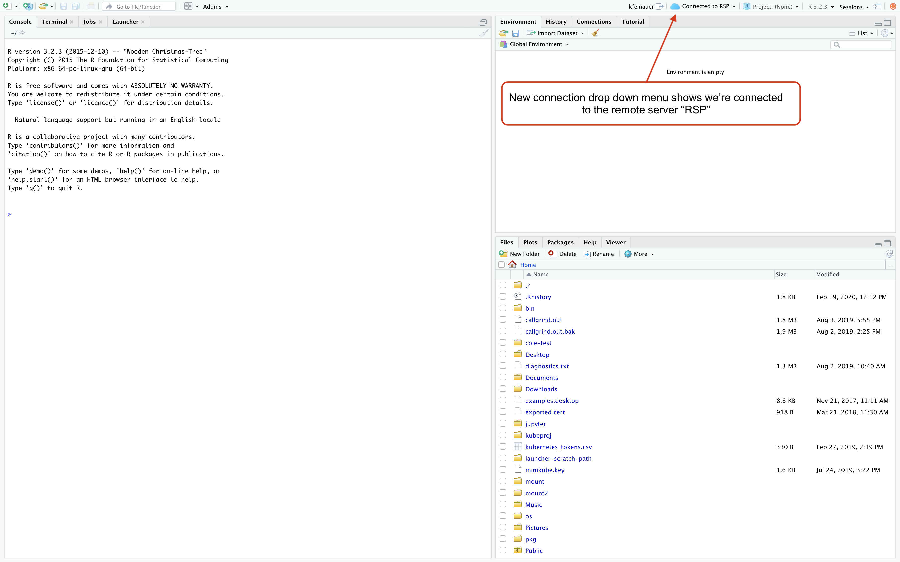 Desktop Pro Remote Session