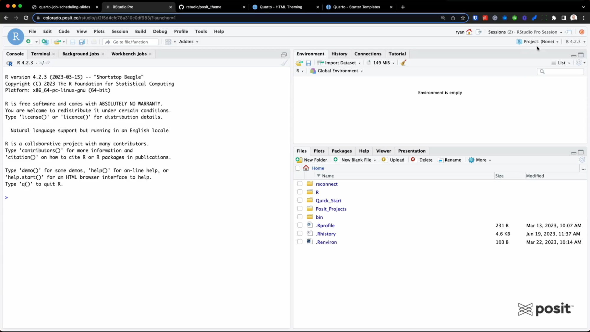 An open RStudio session.