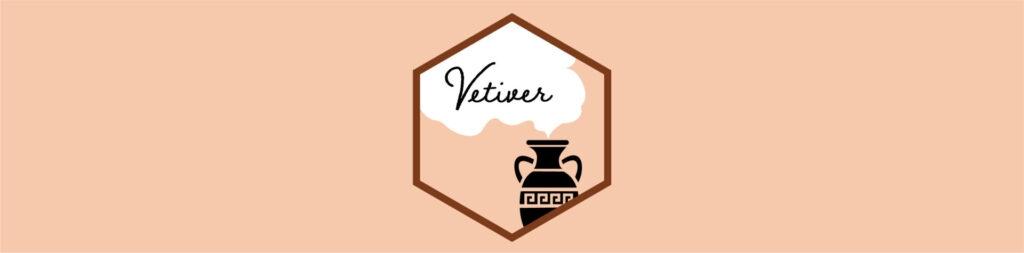 Vetiver hex logo on salmon color background