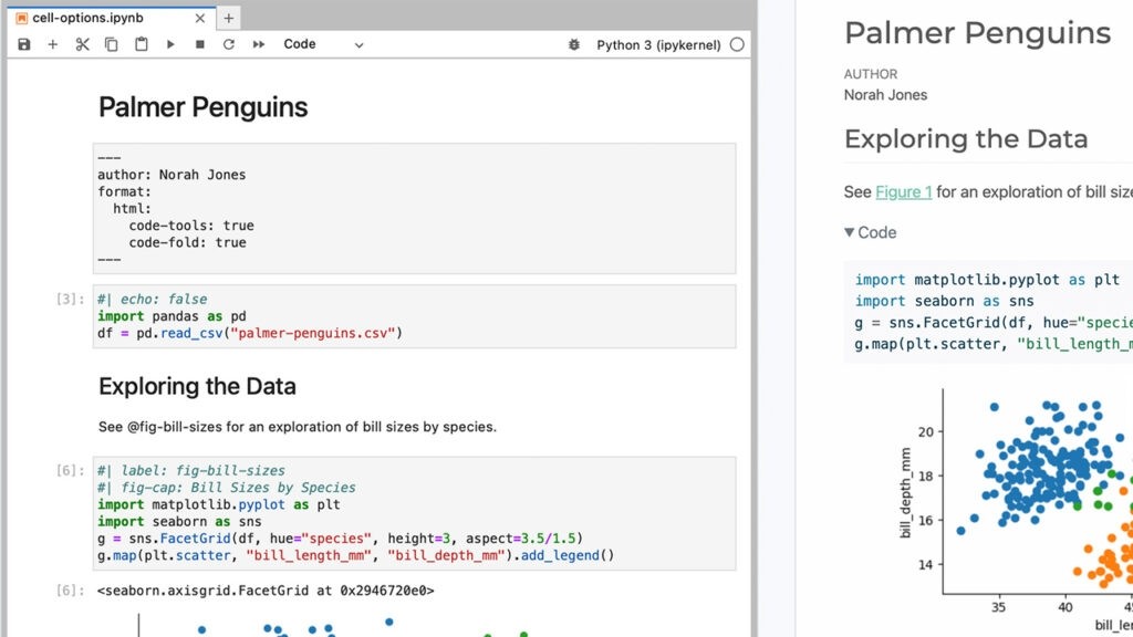 Python Data Science with Posit | Build, Deploy, and Share