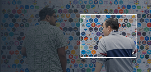 Posit hex wall background