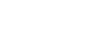 Posit AI logo