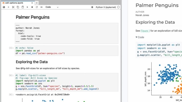 palmer penguins screenshot
