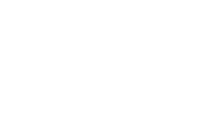 shiny logo