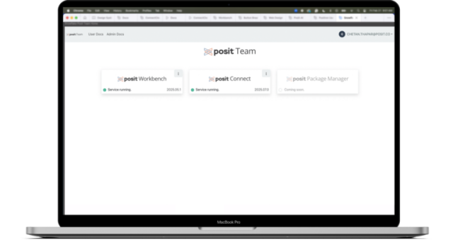 Posit Team Native App inside Snowflake screenshot