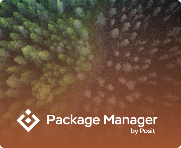 Posit Package Manager