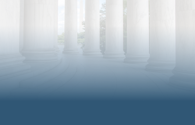 Posit Solutions: Public Sector background image