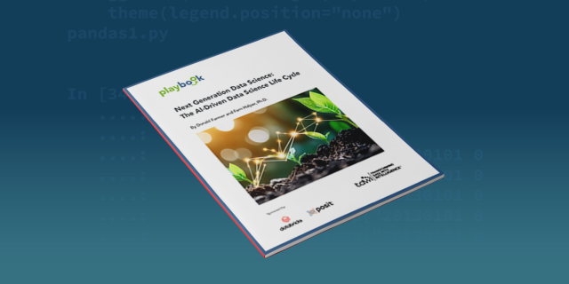 image of TDWI playbook