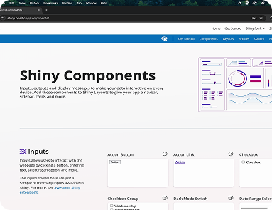 posit academy - shiny