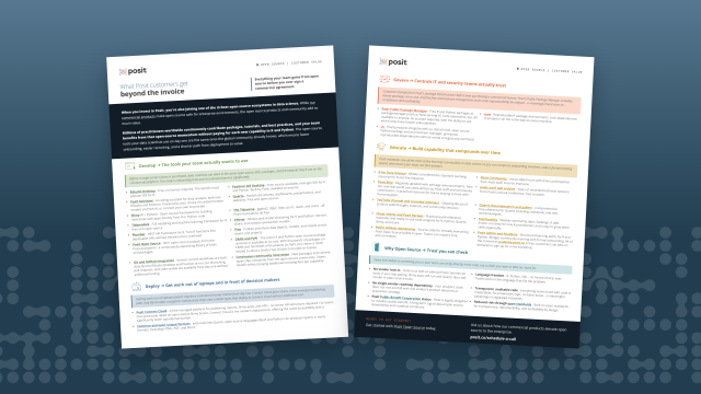 What Posit Customers Get Beyond the Invoice