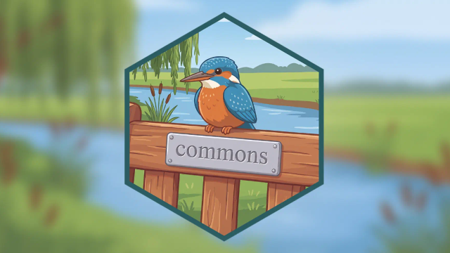 Prove It With Posit: A Deep Dive into Commons