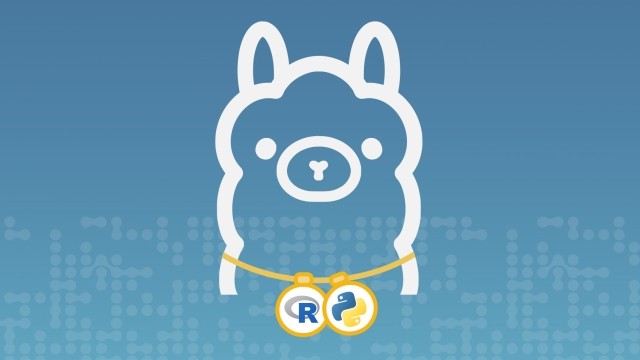 A white outline of a llama's head, the Ollama logo, is centered against a blue background with a subtle, light blue, bubbly pattern. Around the llama's neck is a thin yellow necklace with two circular pendants. The left pendant is blue with a white 'R' logo, and the right pendant is yellow with a black and yellow Python logo.