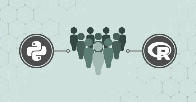 An icon representing a team of people in the center. Branching from them are the Python and R logos on the left and right side, respectively. There are faint hexagons in the background.