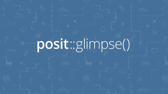 A blue background with a repeating pattern of white line drawings of various data-related icons, such as graphs, code symbols, and animals. Centered on the image is the white text 'posit::glimpse()'.