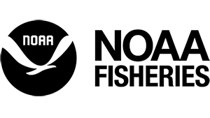 NOAA fisheries logo, a white bird flying on a black circle
