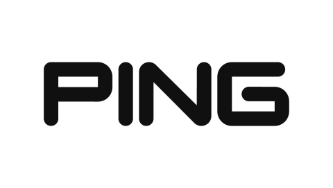 PING logo