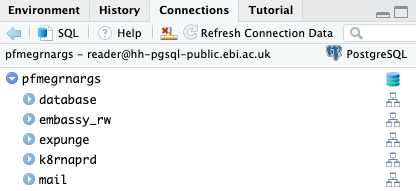 Database connection in the Connections pane