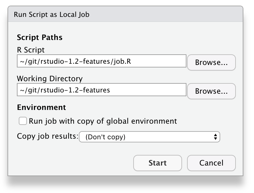 Dialog showing options for starting R script job