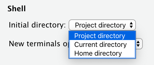 Section of Options dialog showing terminal starting directory