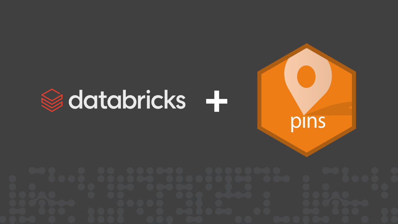 Databricks logo plus pins logo