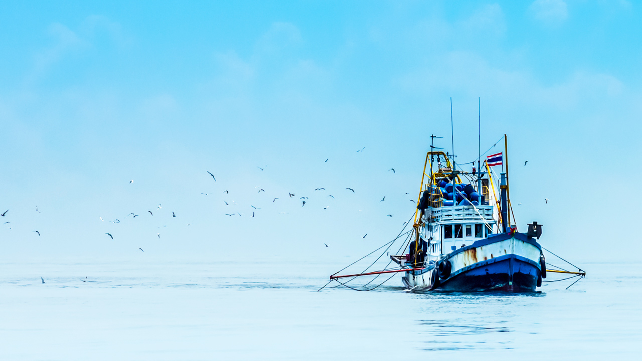 fishing boat in the middle of the ocean surrounded by birds