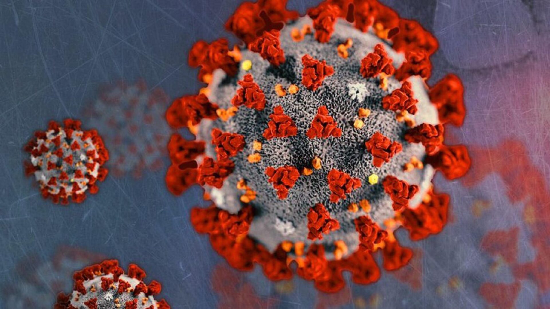 Microscopic view of a coronavirus particle with other particles in the background
