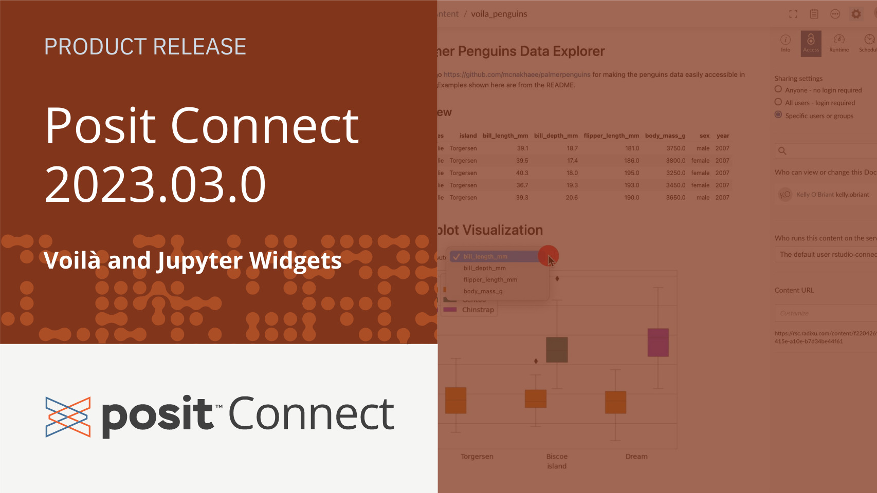 Text: "Product Release, Posit Connect 2023.03.0 Voila and Jupyter Widgets." Posit Connect logo. On the right, a screenshot of a Jupyter notebook with an interactive plot published on Connect.