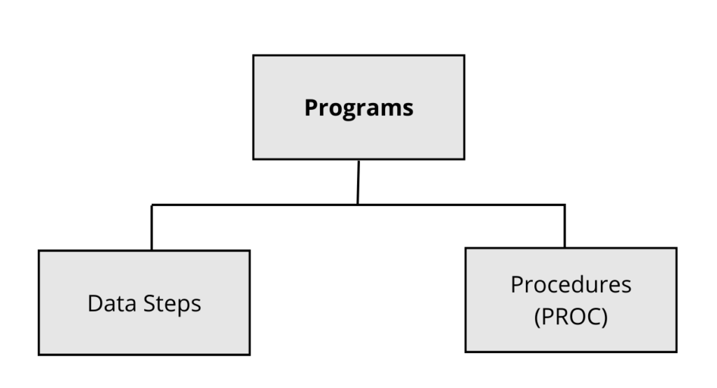 A typical SAS workflow showing Programs and then branching from Programs are Data Steps and Procedures (PROC)