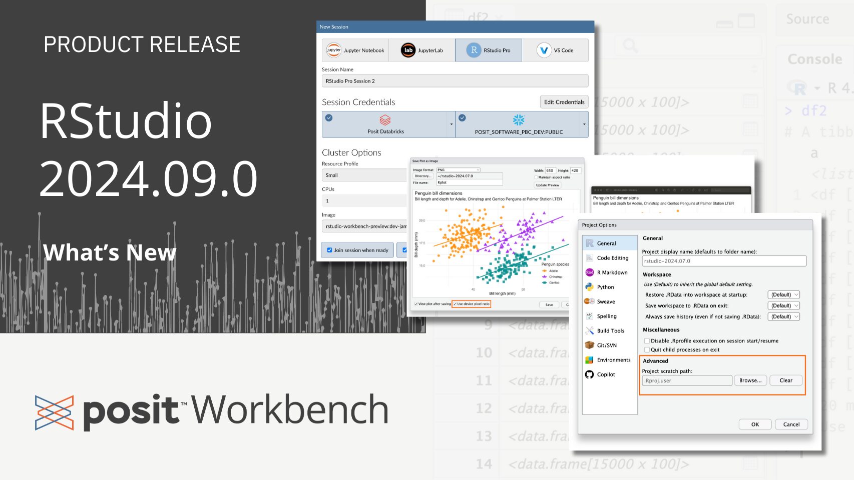 RStudio IDE and Posit Workbench 2024.09.0: What’s New