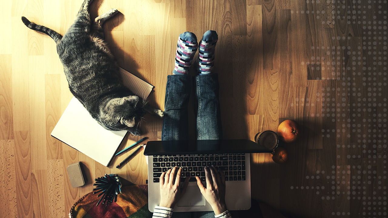 A top-down view of someone on their laptop, with scattered materials around them, and a cat