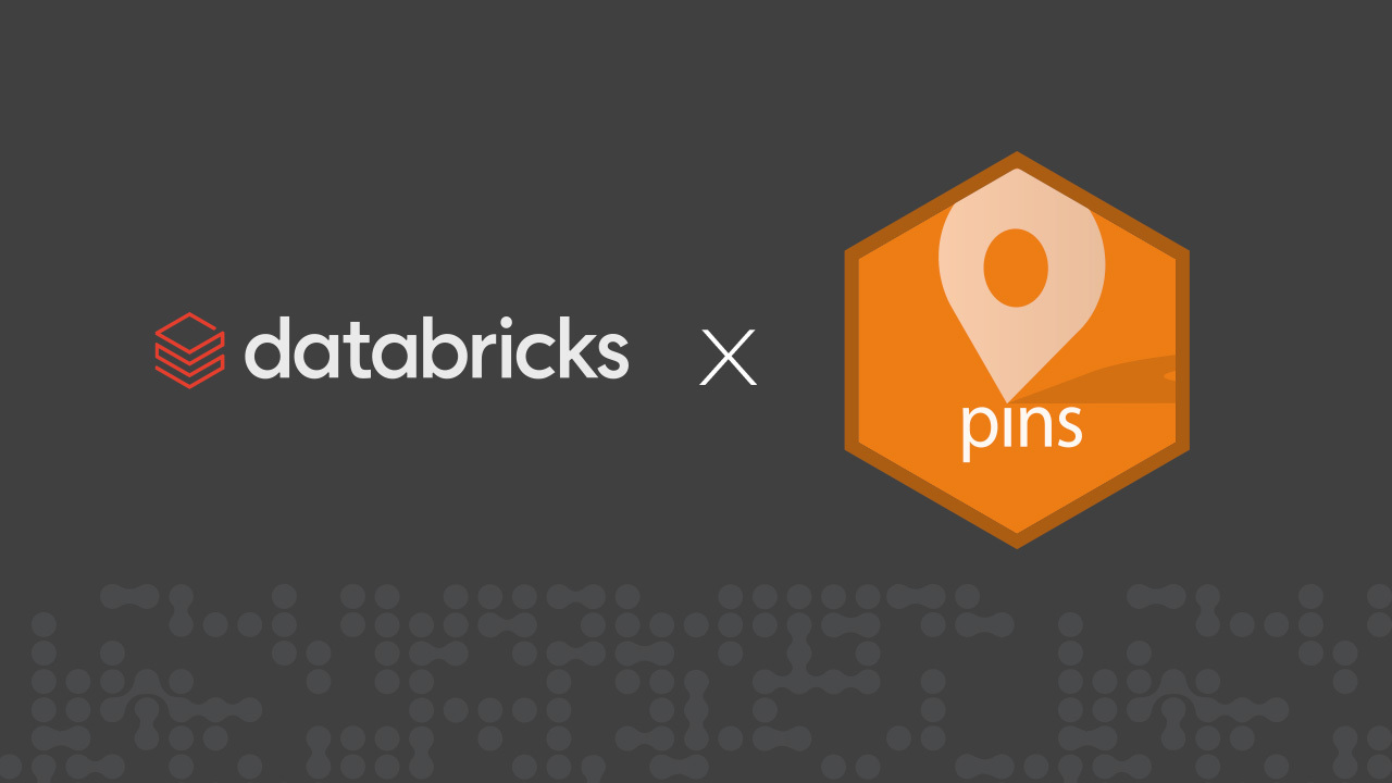 Databricks x pins hex