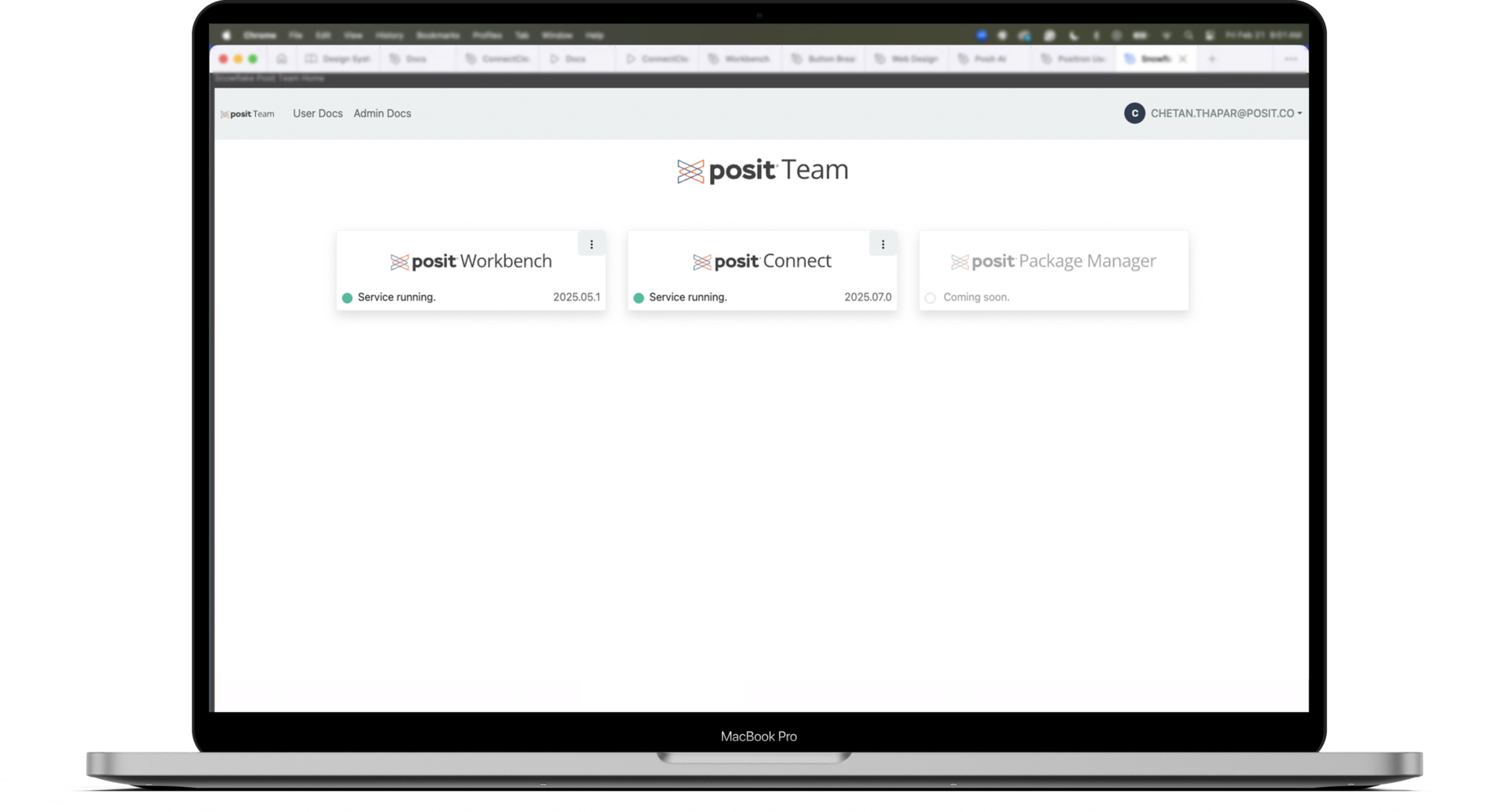 Screenshot of Posit Team App